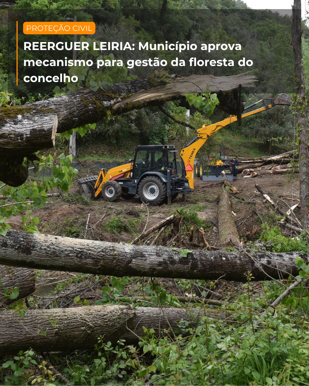 Imagem Sessões de participação pública - OIGP do Concelho de Leiria